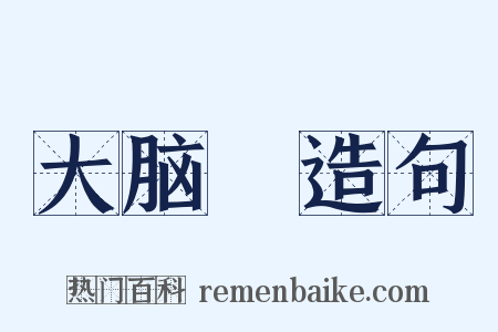 大脑殻造句是什么意思的图片